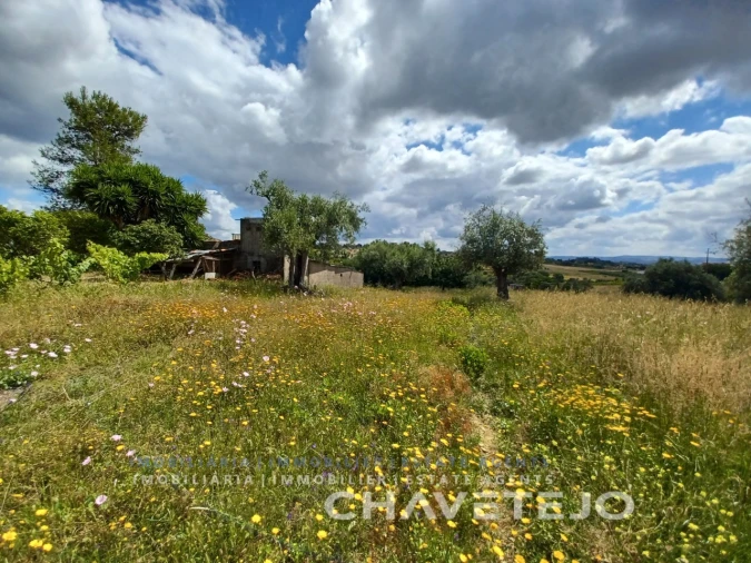 Terreno para Venda em Madalena e Beselga Foto 6