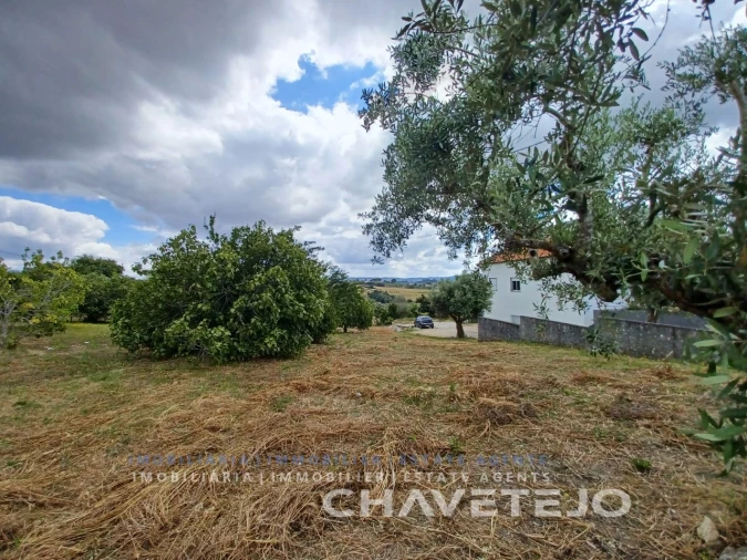 Terreno para Venda em Madalena e Beselga Foto 7