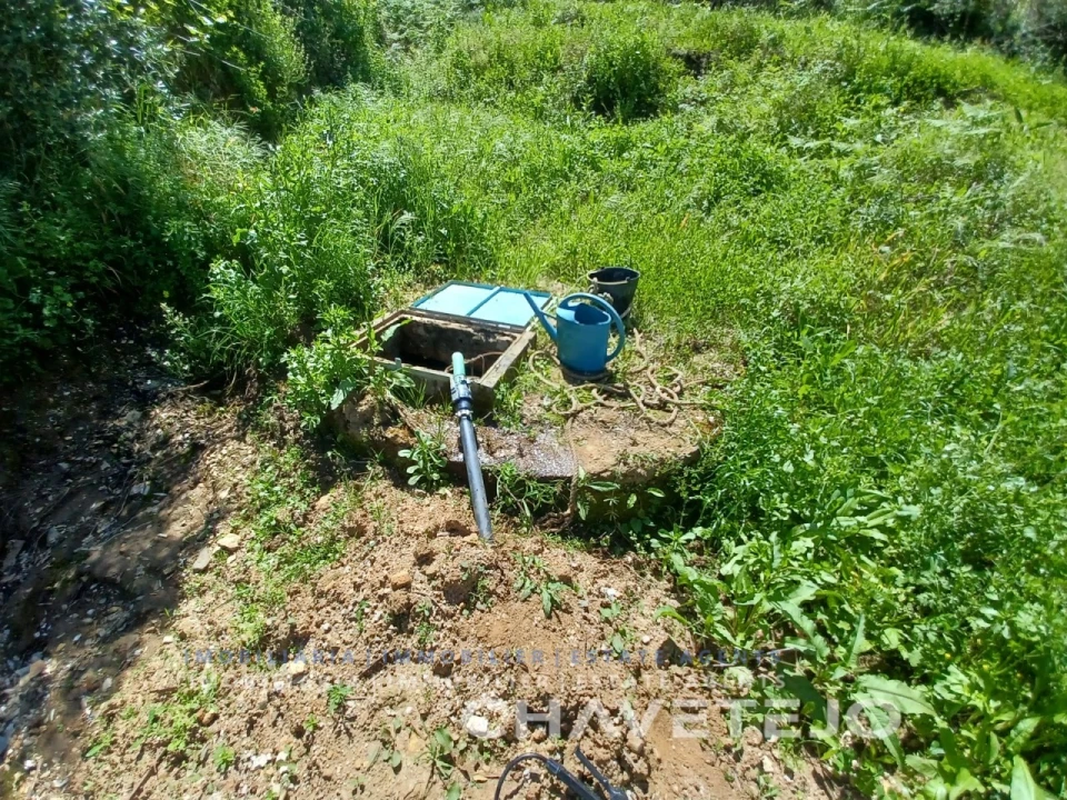 Terreno Agricola ou Rústico para Venda em Serra e Junceira Foto 5