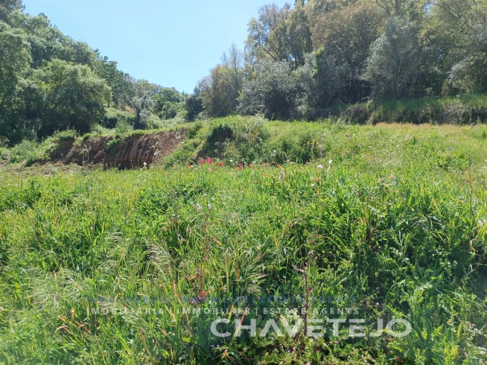 Terreno Agricola ou Rústico para Venda em Serra e Junceira Foto 8