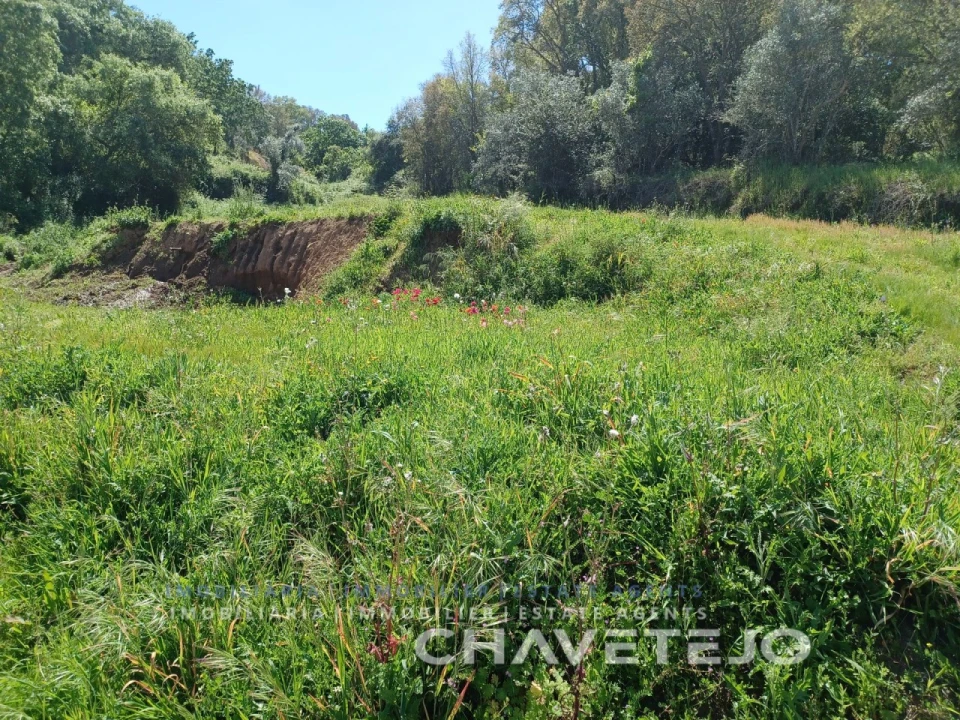 Terreno Agricola ou Rústico para Venda em Serra e Junceira Foto 9