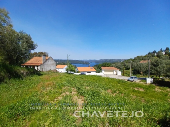 Terreno Agricola ou Rústico para Venda em Serra e Junceira Foto 3