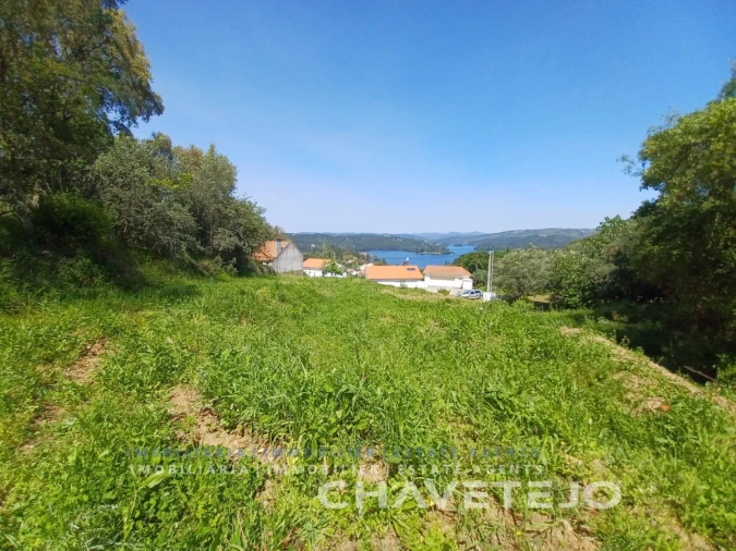 Terreno Agricola ou Rústico para Venda em Serra e Junceira Foto 1