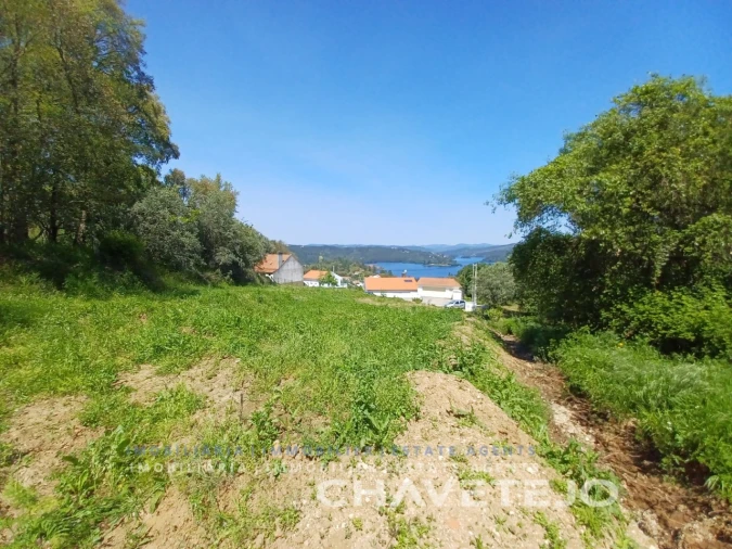 Terreno Agricola ou Rústico para Venda em Serra e Junceira Foto 4
