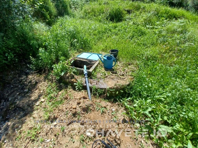 Terreno Agricola ou Rústico para Venda em Serra e Junceira Foto 5