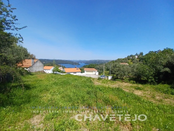 Terreno Agricola ou Rústico para Venda em Serra e Junceira Foto 6