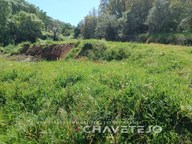 Terreno Agricola ou Rústico para Venda em Serra e Junceira Foto 9