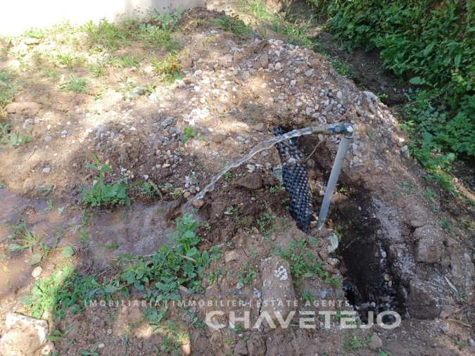 Terreno Agricola ou Rústico para Venda em Serra e Junceira Foto 10