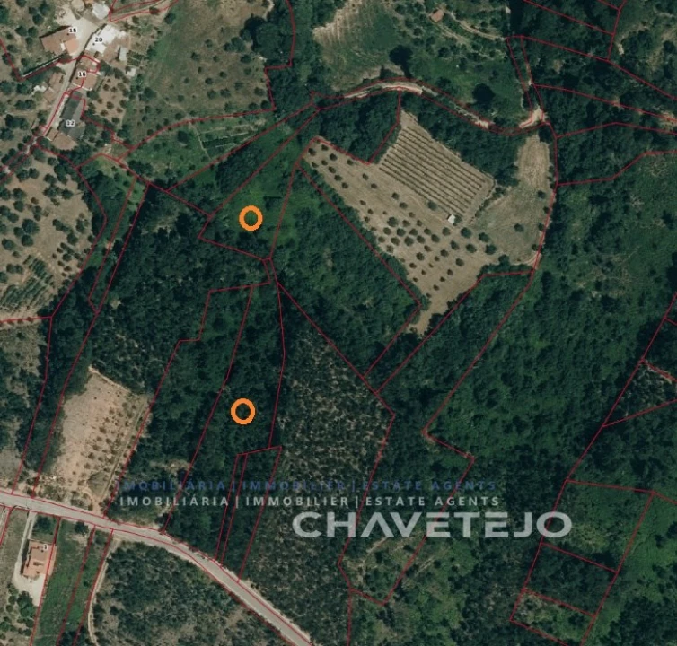 Terreno para Venda em Gondemaria e Olival Foto 1