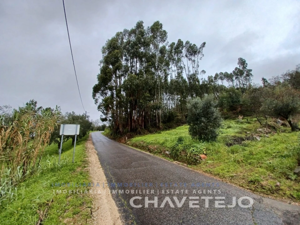 Terreno Agricola ou Rústico para Venda em Areias e Pias Foto 1