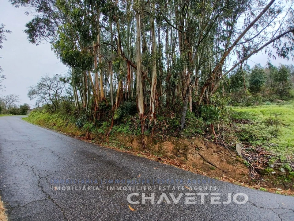 Terreno Agricola ou Rústico para Venda em Areias e Pias Foto 2