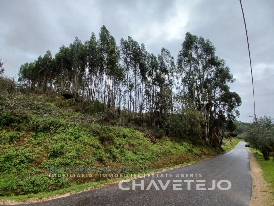 Terreno Agricola ou Rústico para Venda em Areias e Pias Foto 4