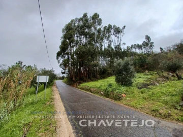 Terreno Agricola ou Rústico para Venda em Areias e Pias