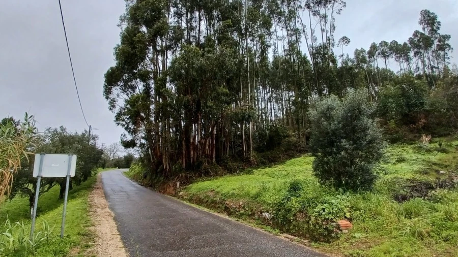 Terreno Agricola ou Rústico para Venda em Areias e Pias