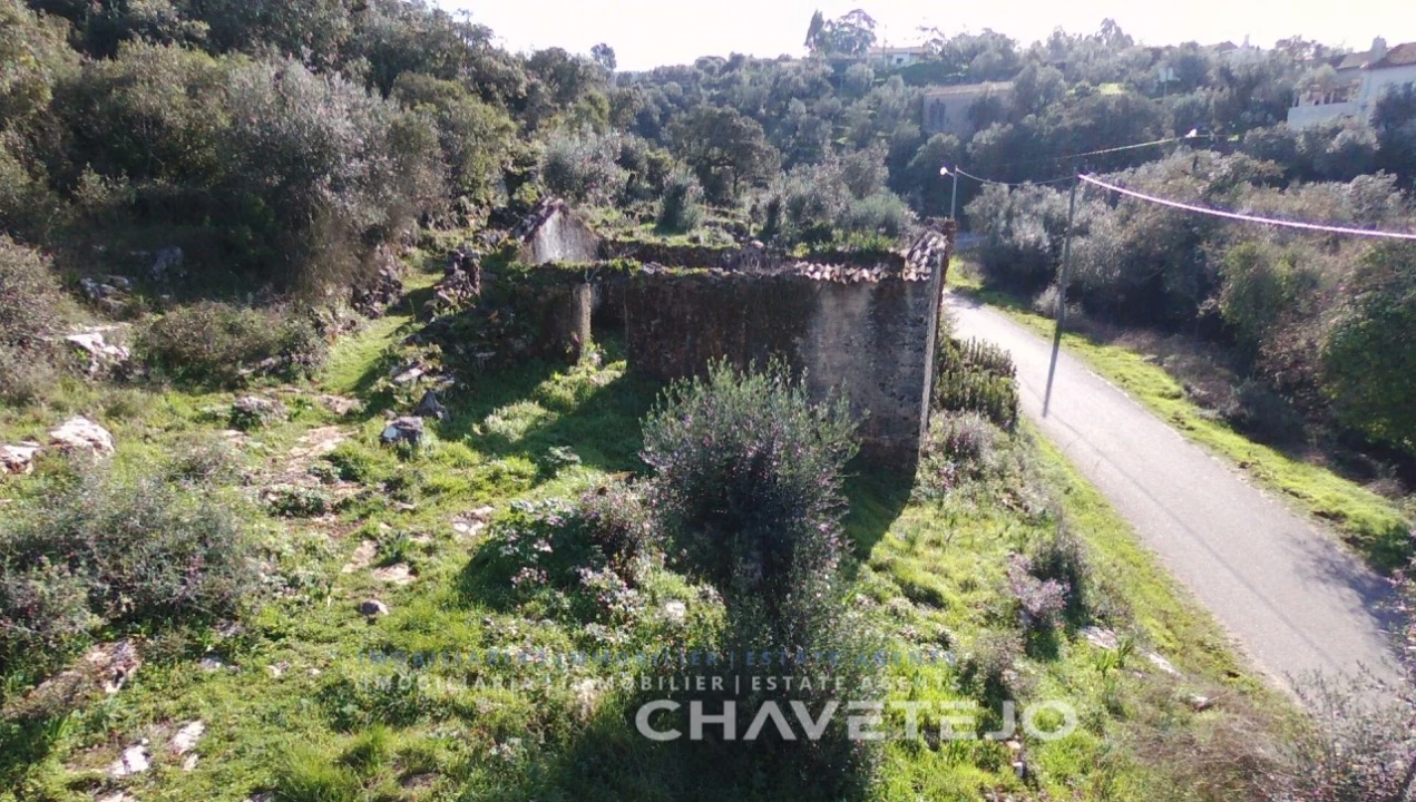 Terreno para Venda em Chão de Couce Foto 5