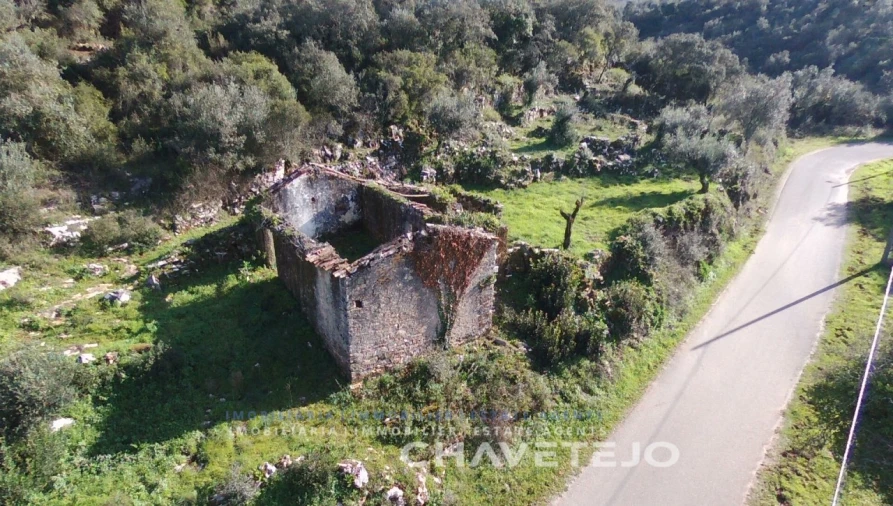 Terreno para Venda em Chão de Couce Foto 2