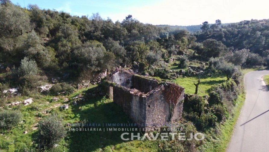 Terreno para Venda em Chão de Couce Foto 3