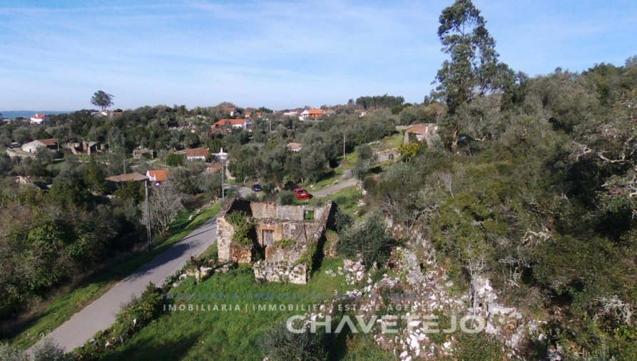 Terreno para Venda em Chão de Couce Foto 9