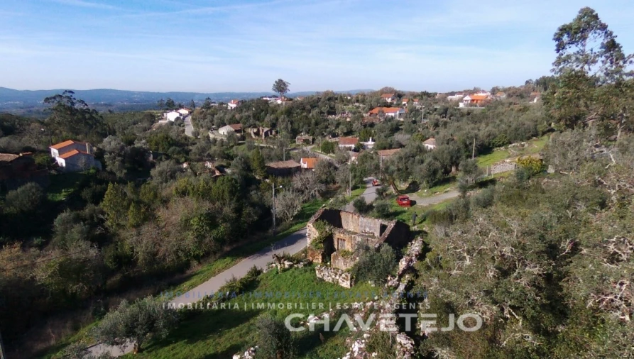 Terreno para Venda em Chão de Couce Foto 11