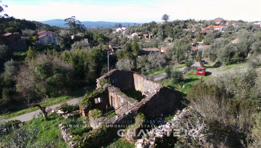 Terreno para Venda em Chão de Couce Foto 13