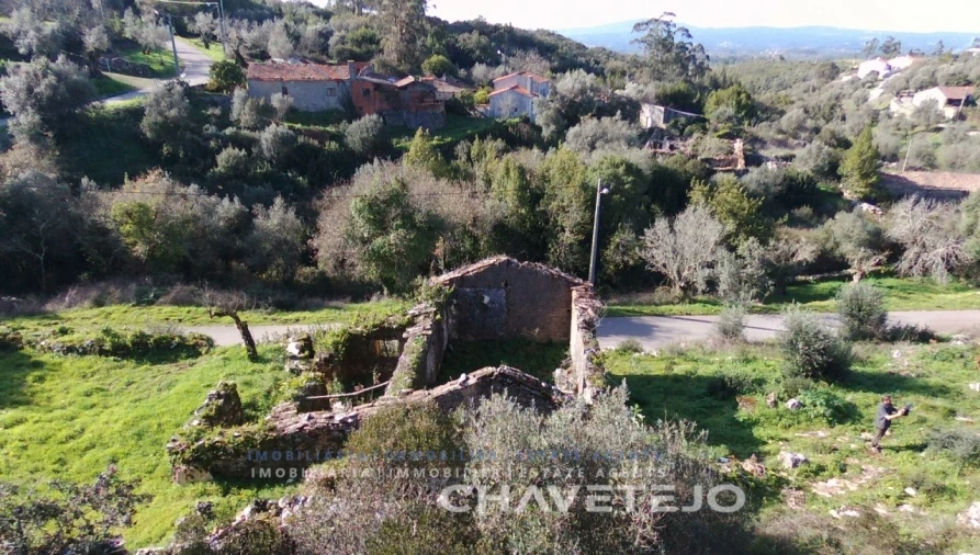 Terreno para Venda em Chão de Couce Foto 14