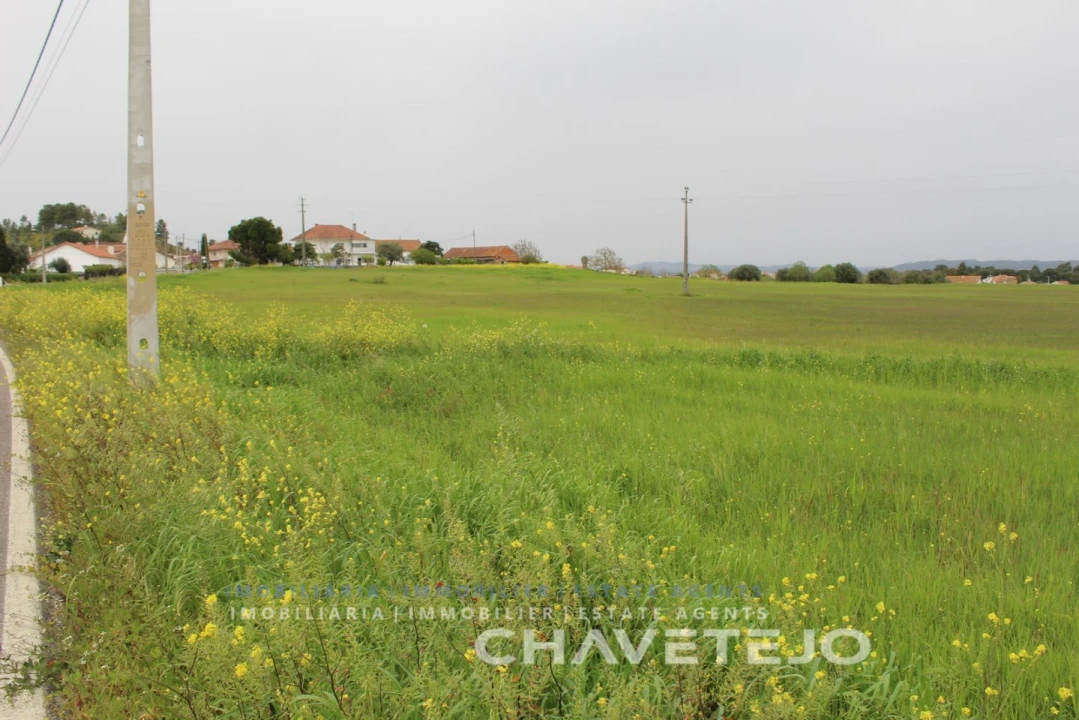 Terreno para Venda em São João Baptista e Santa Maria dos Olivais Foto 2