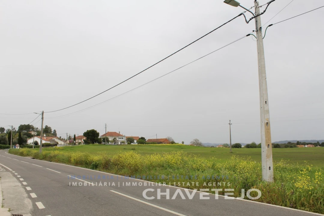 Terreno para Venda em São João Baptista e Santa Maria dos Olivais Foto 3