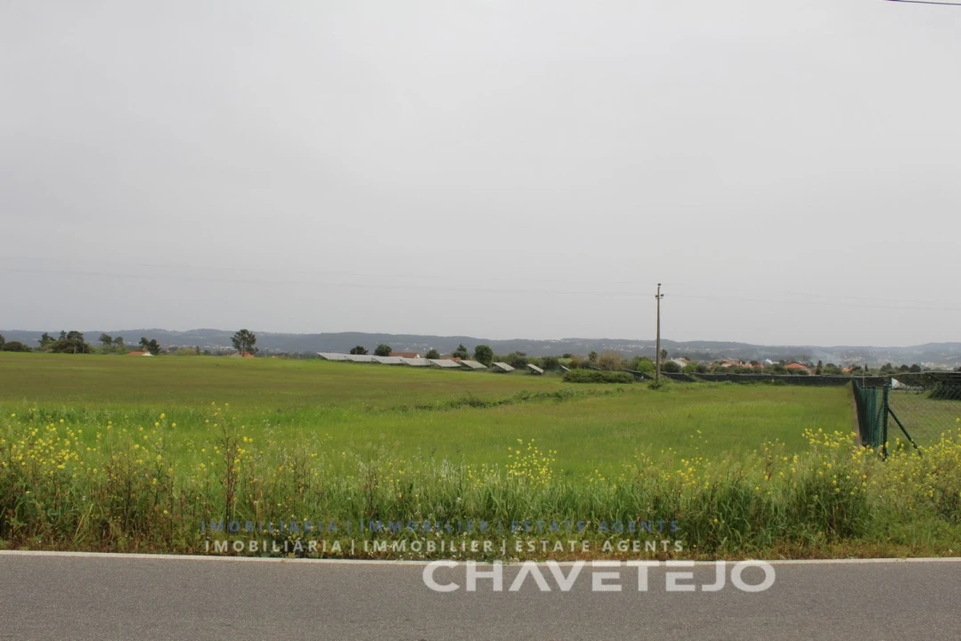 Terreno para Venda em São João Baptista e Santa Maria dos Olivais Foto 4