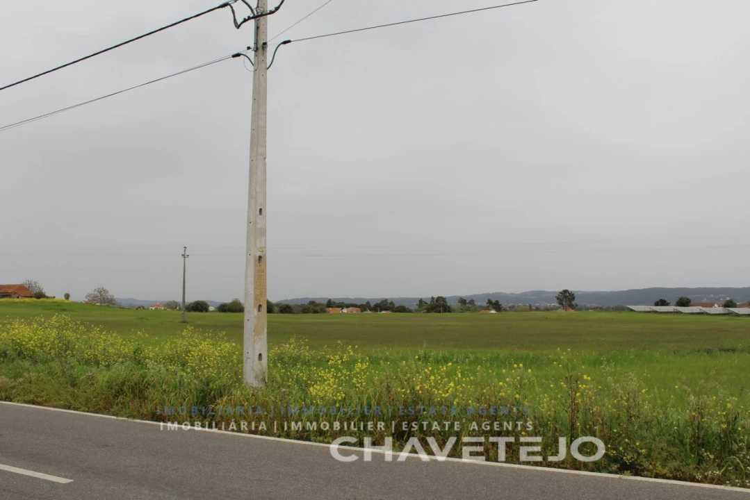 Terreno para Venda em São João Baptista e Santa Maria dos Olivais Foto 5