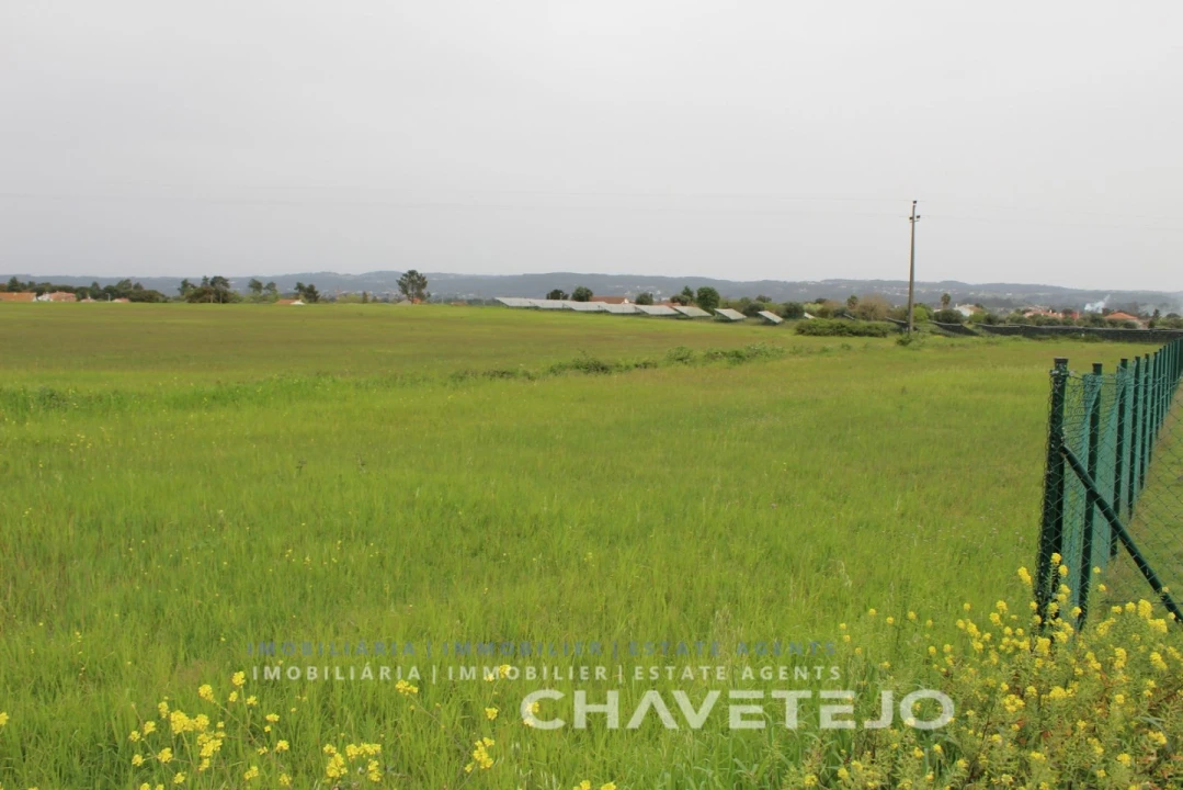 Terreno para Venda em São João Baptista e Santa Maria dos Olivais Foto 6