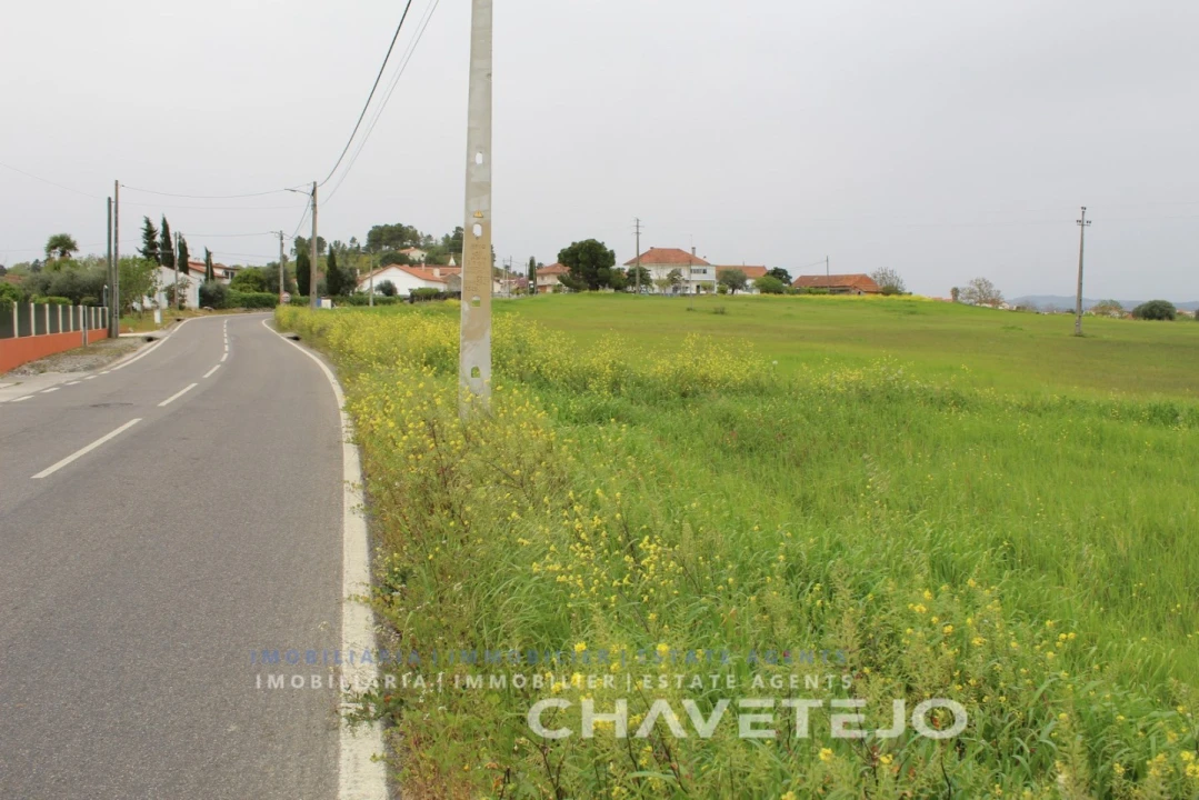 Terreno para Venda em São João Baptista e Santa Maria dos Olivais Foto 7