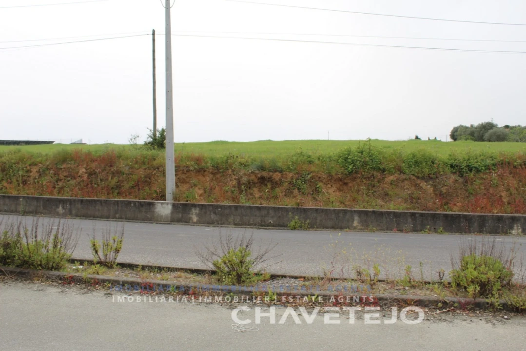 Terreno para Venda em São João Baptista e Santa Maria dos Olivais Foto 9
