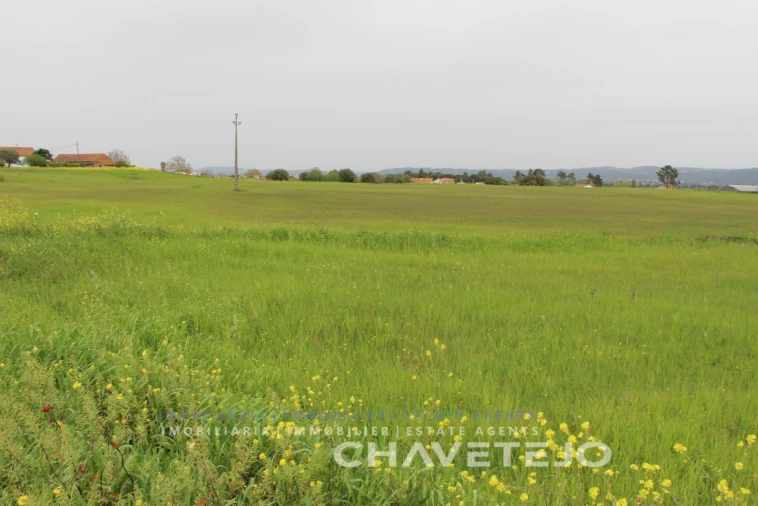 Terreno para Venda em São João Baptista e Santa Maria dos Olivais Foto 1