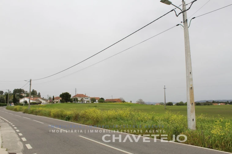 Terreno para Venda em São João Baptista e Santa Maria dos Olivais Foto 3