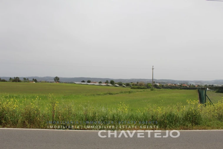 Terreno para Venda em São João Baptista e Santa Maria dos Olivais Foto 4