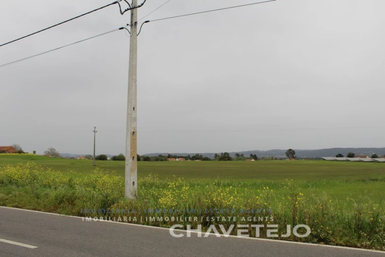 Terreno para Venda em São João Baptista e Santa Maria dos Olivais Foto 5