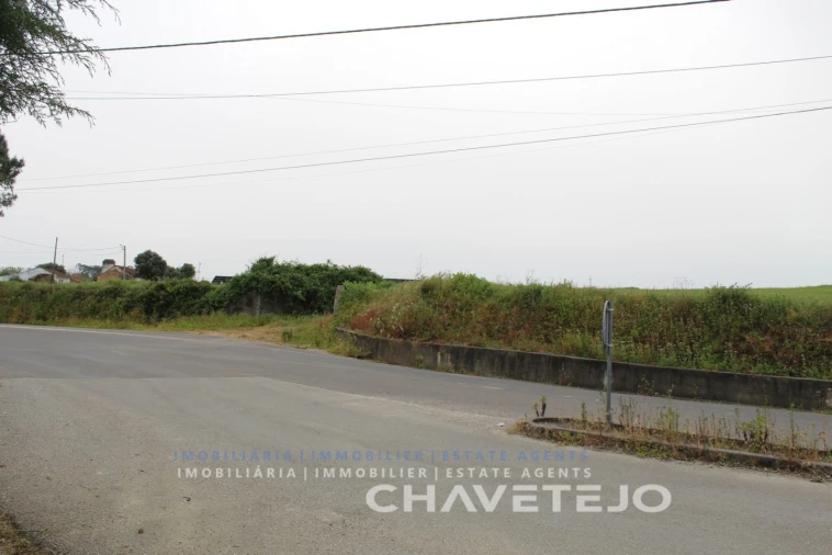 Terreno para Venda em São João Baptista e Santa Maria dos Olivais Foto 12