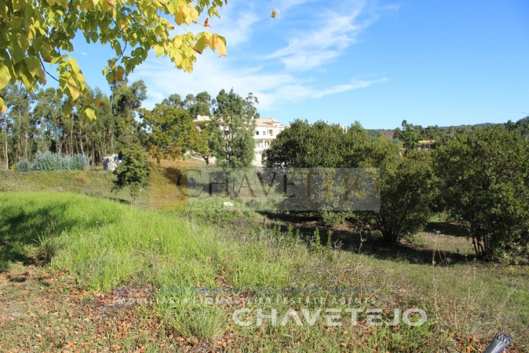 Terreno para Venda em Aguas Belas Foto 5