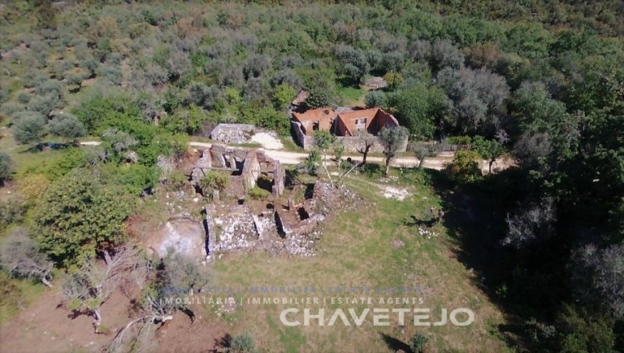 Terreno para Venda em Pelma Foto 6