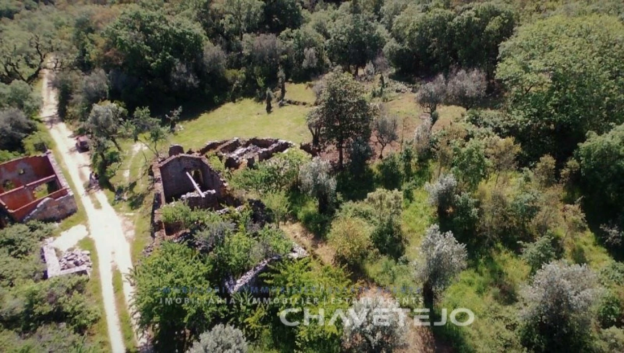 Terreno para Venda em Pelma Foto 7