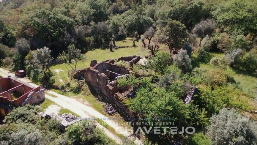 Terreno para Venda em Pelma Foto 4