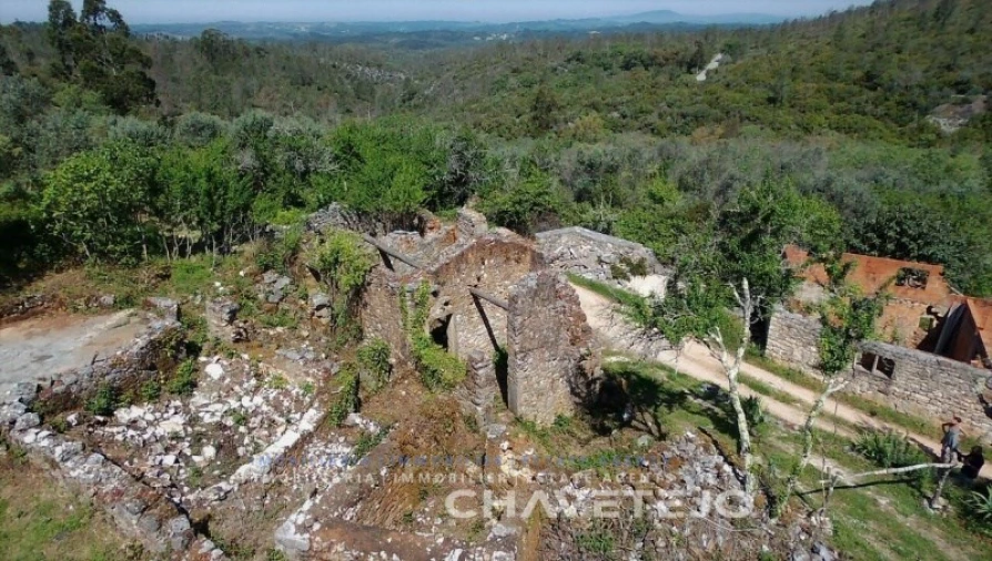 Terreno para Venda em Pelma Foto 5