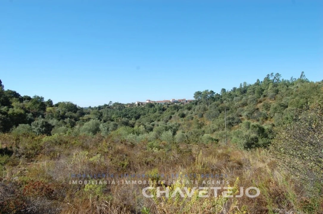 Terreno para Venda em Além da Ribeira e Pedreira Foto 4