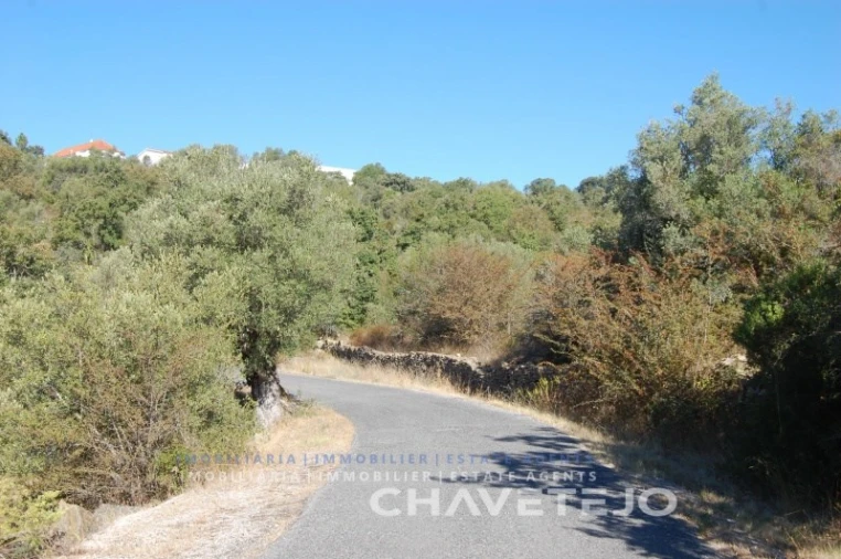 Terreno para Venda em Além da Ribeira e Pedreira Foto 1