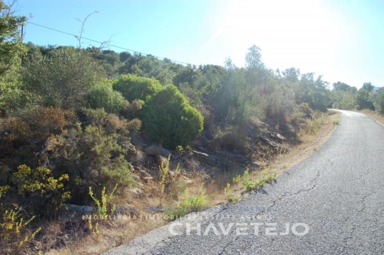 Terreno para Venda em Além da Ribeira e Pedreira Foto 3