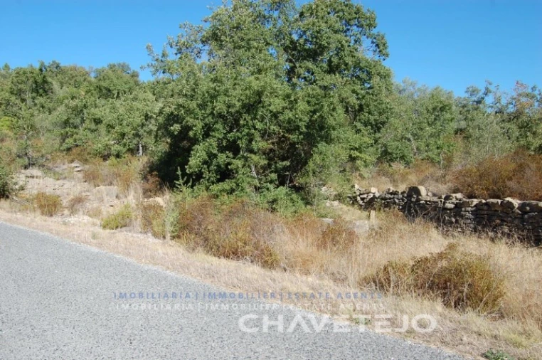 Terreno para Venda em Além da Ribeira e Pedreira Foto 5