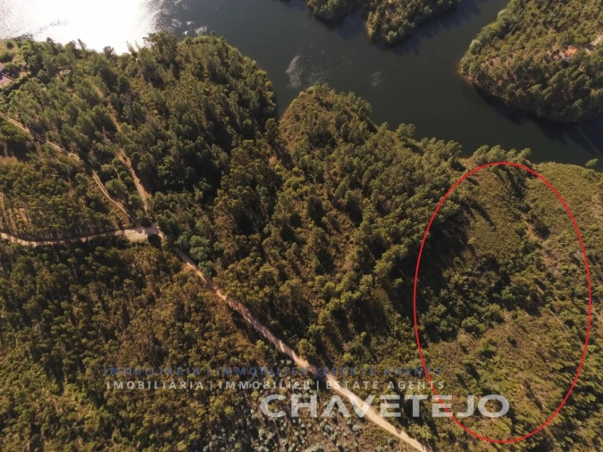 Terreno para Venda em Serra e Junceira Foto 2