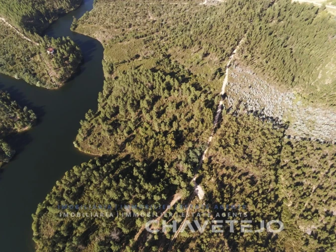 Terreno para Venda em Serra e Junceira Foto 3