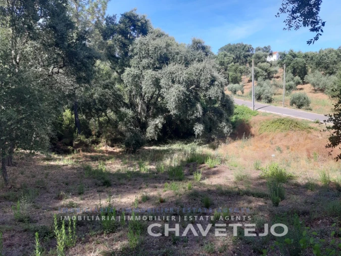 Terreno para Venda em Serra e Junceira Foto 6