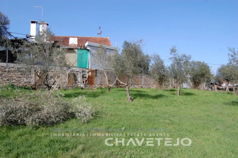 Terreno para Venda em Olalhas Foto 2